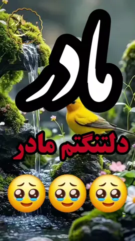 👇💔ڪـــــپشن ‌‌‌‎‌‌‎‌‌‌‎‌‌‌‌‎‌‌‌‎‌‌ ‎‌‌‌‎‌‎‌‌‌‌‌‌‌‌‌‌‌‌‌‎‌‌‌‎‌‌‌‌‎‌‌‌‌‌‌‌‌‌‌‌‌‌‌‌‌‌‌‎‌‌‌‎‌‌‌ مــــــــ♡ـــــادرم دلم تنــگ است...  تنگ عزیــزے ڪھ یادش  همیشھ بامــن است  اماخــودش نیست  عزیـزے ڪھ بی خبر بارسفر بست  وجسمـش رابھ خـاڪ سپـردم😥  روحش رابھ آسمــان😢 وغم نبـودنش رابھ دلم  آرے دلم تنــگ است وایــن دلتنگی تا زمـانی ڪھ  نفس میڪشم بامــن است🥺 ‌‌‌‎‌‌‎‌‌‌‎‌‌‌‌‎‌‌‌‎‌‌ ‎‌‌‌‎‌‎‌‌‌‌‌‌‌‌‌‌‌‌‌‎‌‌‌‎‌‌‌‌‎‌‌‌‌‌‌‌‌‌‌‌‌‌‌‌‌‌‌‎‌‌‌‎‌‌‌‌‎‌‌‌‌‌‌‌‌‌‌‌‌‌‌‌‌‌‌‌‌‌‌‎‌‌‌‎‌‌‌‌‎‌‌‌‌‌‌‌‌‌‌‌‌‌‌‌‌‌‌‎‌‌‌‎‌‌‌‌‎‌‌‌‌‌‎‌‌‎‌‌‌‎‌‌‌‌‎‌‌‌   ‌‌‌‌‌‌‌‌‌‌‌‌‌‌‌‌‌‌‌‌‌‌‌‌‌‌‌‌‌‌‌‌‌‌‌‌‌‌‌‌‌‌‌‌‌‌‌‌‌‌‌‌‌‌‌‌‌‌‌‌‌‌‌‌‌‌‌‌‌‌دلتنگتــــــم ‌‌‌‎‌‌‍‎‌‌‍‎‍‎‌‌‍‌‌‎‌‎‍‎‌‌‍‎‍‌‌‎‌‌‎‌‍‎‌‌‍‎‍‎‌‌‍‌‌‎‌‎‍‎‌‌‍‎‍‎‌‍‎‌‌‍‎‍‎‌‌‍‌‌‎‌‎‍‎‌‌‍‎‍‌‌‎‌‌‎‌‍‎‌‌‍‎‍‎‌‌‍‌‌‎‌‎‍‎‌‌مــــــــ♡ــــادر ‌‌‌‌‌‌‌‌‌‌‌‌‌‌‌‌‌‌‌‌‌‌‌‌‌‌‌‌‌‌‌‌‌‌‌‌‌‌‌‌‌‌‌‌‌‌‌‌‌‌‌‌‌‌‌‌‌‌‌‌‌‌‌‌‌‌‌‌‌‌ ‌‌‌‎‌‌‍‎‌‌‍‎‍‎‌‌‍‌‌‎‌‎‍‎‌‌‍‎‍‌‌‎‌‌‎‌‍‎‌‌‍‎‍‎‌‌‍‌‌‎‌‎‍‎‌‌‍‎‍‎‌‍‎‌‌‍‎‍‎‌‌‍‌‌‎‌‎‍‎‌‌‍‎‍‌‌‎ ♡ ㅤ    ❍ㅤ     ⎙ㅤ     ⌲    ˡᶦᵏᵉ  ᶜᵒᵐᵐᵉⁿᵗ    ˢᵃᵛᵉ     ˢʰᵃʳᵉ ═════ஜ۩۞۩ஜ══════ஜ ‌‌‌🅵🅾🅻🅻🅾🆆@FERAGHE.MADAR  #explore #newpost  #explorepage  #instagram  #اکسپلور          ┄┅┄┅┄┅┄┅┄┅❥