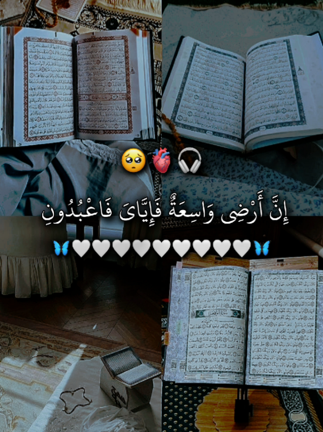 #fyp #explore #quran #قرآن 