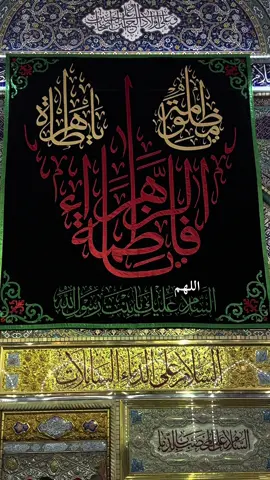 #يازهراء_اغيثينا #fyp #الشيخ_احمد_الوائلي  #يوميات_ابن_كربلاء #يافاطمة_الزهراء 