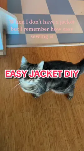 Small sacrifices were made#sewing #DIY #cat #fashionhacks #LifeHack 