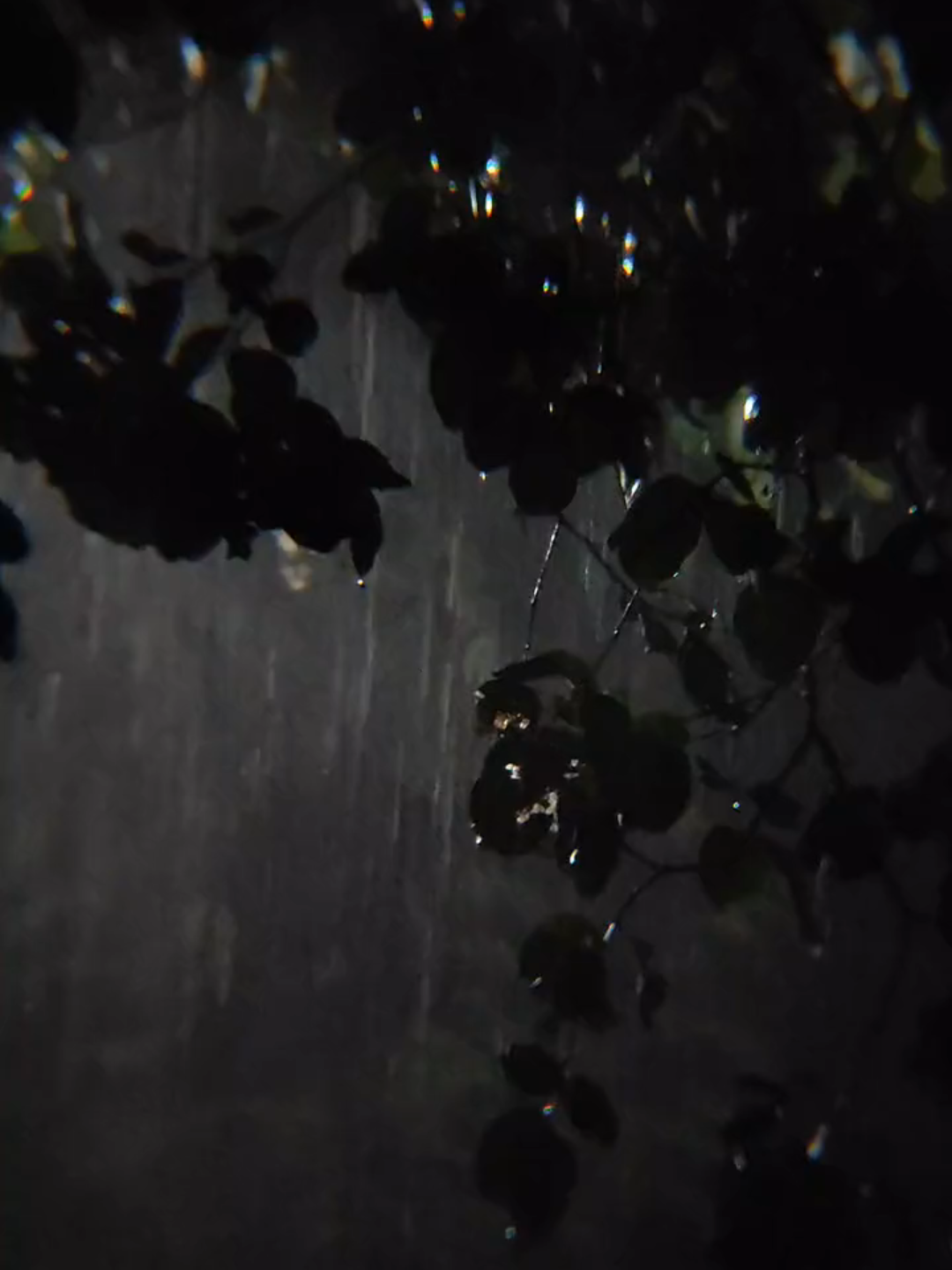 #hujanmalamhari #hujanderas #hujanlebat #asmrhujan #hujanaesthetic #fypシ゚ #pocox5pro5g #lensaapexel18x25