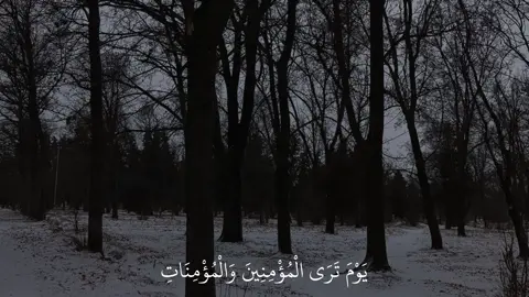 القارئ | سلمان العتيبي | . . . . . #قرآن #quran #explor #سلمان_العتيبي #سورة_الحديد 