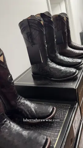 Nuevos modelos en botas Cuadra ya disponibles envíos a todo USA órdenes al 9105967393 #cuadra #botasexoticas 