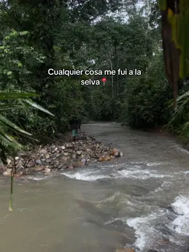 #parati