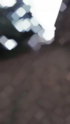 #CapCut 
