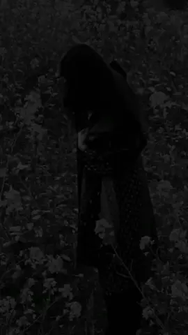 خود کا مقابلہ کبھی کسی سے نہیں کیا جیسی بھی ہوں الحمداللہ بہت بہترین ہوں ۔ . . . . . . . . . . . . . . . . . . . . . . . . . . . . . . . . . . . . . . . . . . . . . . . . . . . . . . . . . . . . . . . . . . . . . . . . . . . . . . . . . #fyp #fypviraltiktok🖤シ゚☆♡  #unfreezemyaccount  #viralmyvideoplztiktok🥺🙏 #viralmyvideoplztiktok🥺🙏 