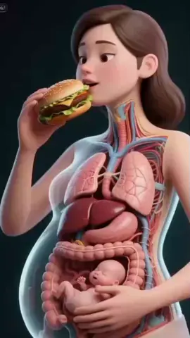 3D animation #foryoupage #satisfyingvideo #usa🇺🇸 #uktiktok #humananotomy follow for more videos 😀