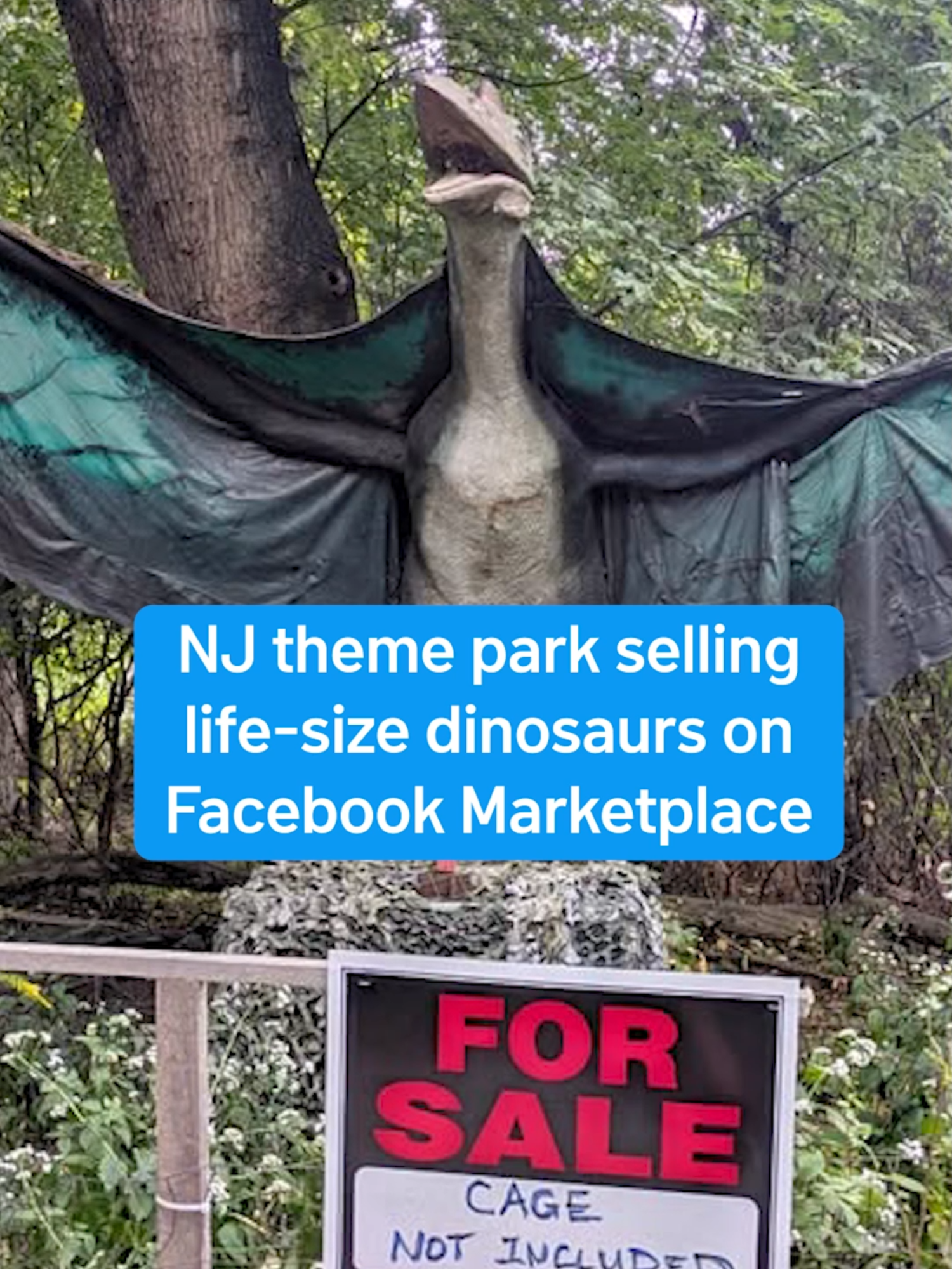 Ever wanted a life-size dinosaur? Field Station: Dinosaurs in New Jersey is shutting down for good in November and park organizers have put the animatronics up for sale on Facebook Marketplace.  #newjersey #dinosaurs #facebook