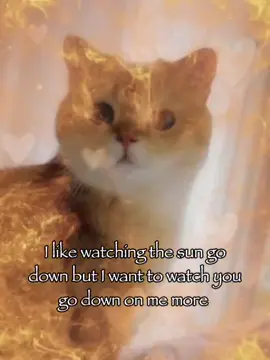 I want to watch you... 😜😜#cattok #rizz #relatable #joke #meme 