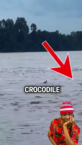 What kind of end time crocodile are these na🥹😃😁🥲🙃😂 #crocodile #crocodilechallenge #indonesia #indonesiacrocodile