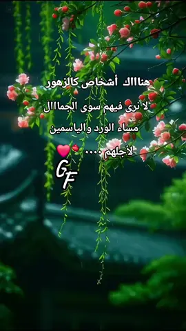 ##مشاهدات #                 ##tiktokarab #