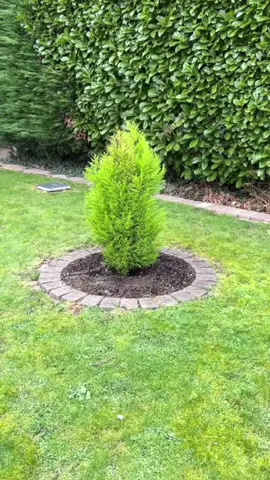 Ultimate Cleaning & Lawn Care ASMR – So Satisfying You’ll Want to Clean! #pressurewashing #cuttinggrass #cleaninghouse #satisfying #lawncare 