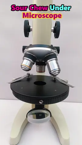 #bacteria #microscope #microscopechallenge #experiment #scienceexperiments 