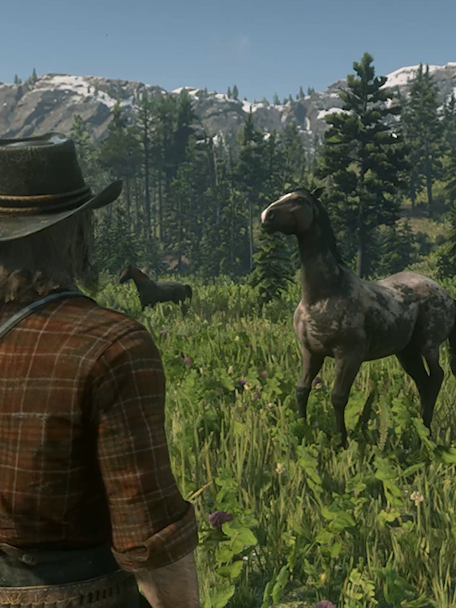 Taming the Buckskin American Standardbred #videogames #gaming #reddeadredemption2 #rdr2 #arthurmorgan 