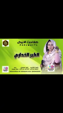 الفنانه المبدعه صفاءبت الابيض اغنيه سودانيه  #الشعب_الصيني_ماله_حل😂✌️
