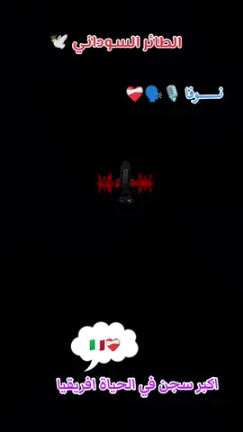 #ماذا تعرف عن الهجرة  #اقوال #اخوان  #اقتباسات_عبارات_خواطر🖤🦋❤️  #مليون_مشاهدة❤🔥🔥🔥🔥🔥🔥❤️💥 
