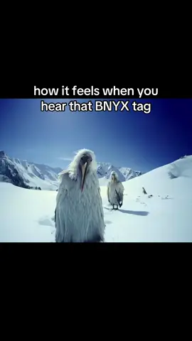 BNYX might just be the erosion bird #yeat #yeattok #bnyx #ugmusic #4yupage 
