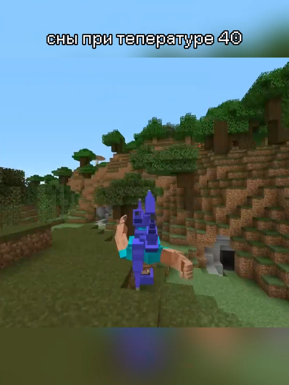 sleeping at a temperature of 40 Author: Not safe ________________________ #Minecraft #minecraftfunny #minecrafter #minecraftmeme #meme #fyp 