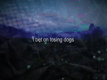 i bet on losing dogs (live) - mitski || mitski the woman you are 🥹🥹 #mitski #lyrics_songs #fyp #xyzabc #edit 