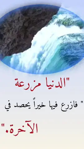 #اقوال الحكماء #اقتباسات #عبارات جميلة #اكسبلور #الشعب_الصيني_ماله_حل 