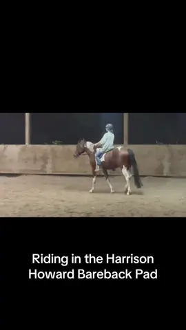 #fyp #horsesoftiktok #horse #horses #TikTokShop 