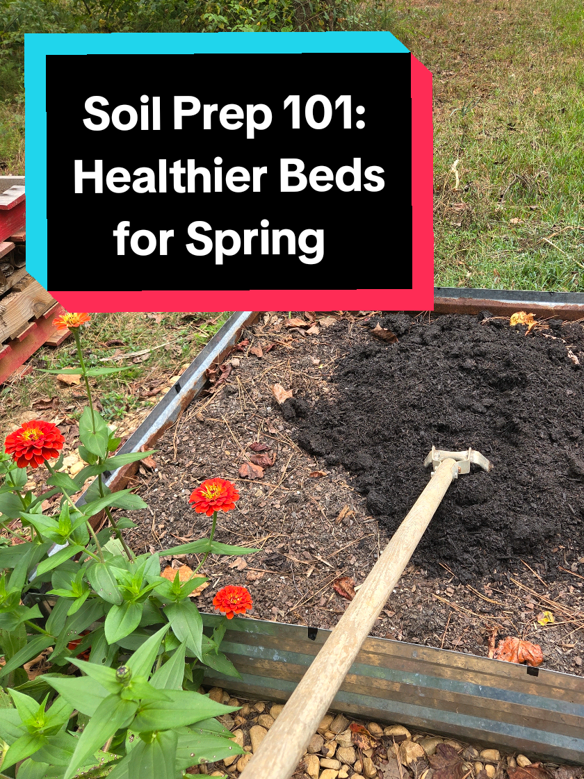 Replying to @jessicaburress14  Healthy soil = healthy plants 🌱 In this video we're going over how to prep your beds this fall so they’re richer and ready to plant when spring arrives! #soilpreparation  #HealthySoilHealthyPlants #GardenPrep  #TikTokLearningCampaign #gardening 
