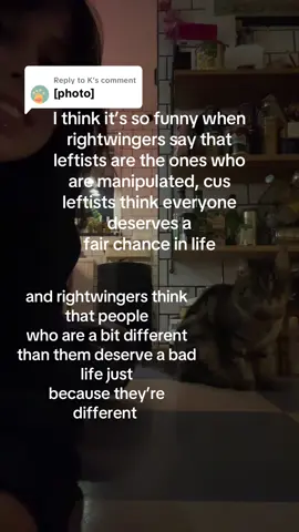 Replying to @K ok dude#fyp #humanrights #lgbt #leftist #cat 
