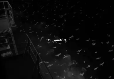 الصبر🖤. #سامۆsamo #active #foryoupage #foryoupage #foryou 