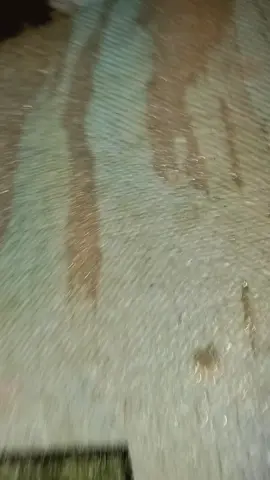 mau bikin lagu bgini sambil vc e teryata lagi sendiri 😓 fyppppppp 🌺