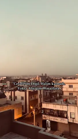 “Yoksa Ben Alışığım Olmazlara..”🥀#storylikvideolar📌 #ağırsözler #anlamlısözler #anlamlvideolar #duygusalsözler…”