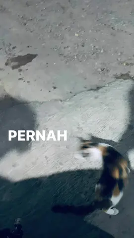 #lyrics #slank #galuinajaaa 