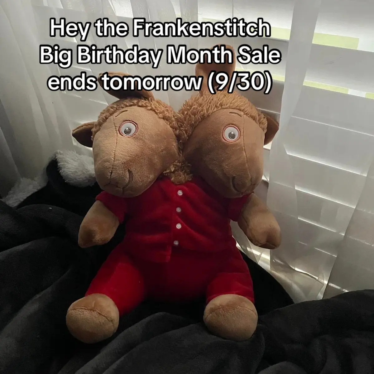 I’d be mad at myself if I didn’t advertise this one last time so if yall want a weird lil guy at a discount, you’d better skedaddle to the 🔗 in my 🅱️io <3 #fentysuperbrandday #LanguageLearning #customplush #weirdcore #plushies 