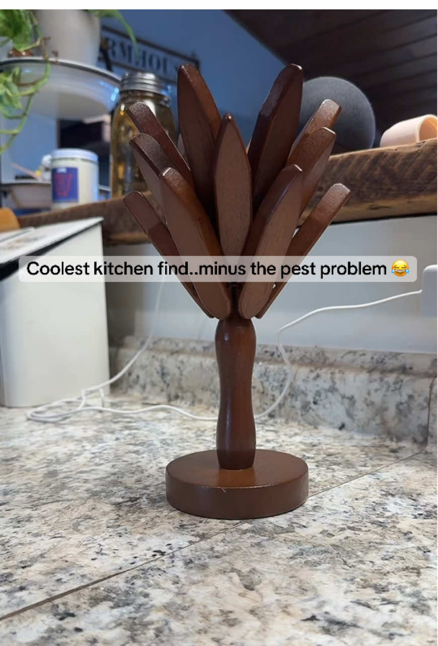 That roach definitely worked! I’ve had these in my showcase for months now! They really are great gifts. #viralvideos #woodentreetrivet #treetrivetset #giftideasunder20 #kitchengifts 