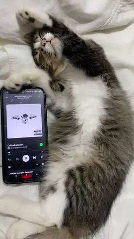 😾:lukanya hebat, tubuhnya rusak, kepalanya brisik, hidupnya berantakan tapi dia punya musik keras untuk merendam semuanya #avengedsevenfold #criticalacclaim #ax7 