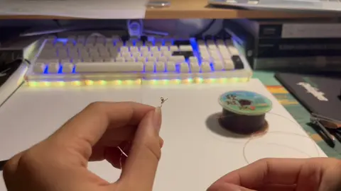 Hướng dẫn làm bẫy chim săn mồi #chimsanmoi #falcons #falconry 