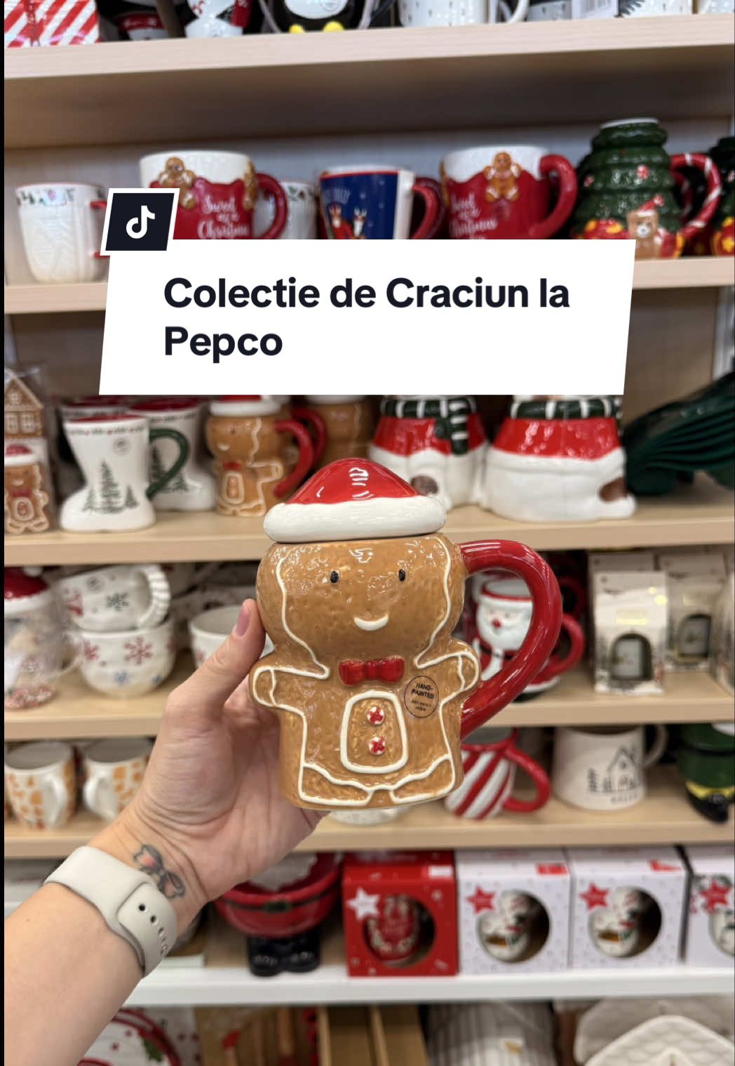 Colectie de Craciun la Pepco #homedecor #craciun #pepcocraciun #fyuシ 
