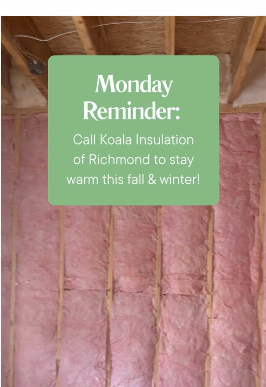 Your Monday reminder🐨 #koalainsulation #insulation #richmond #insulationservices #insulationexperts 