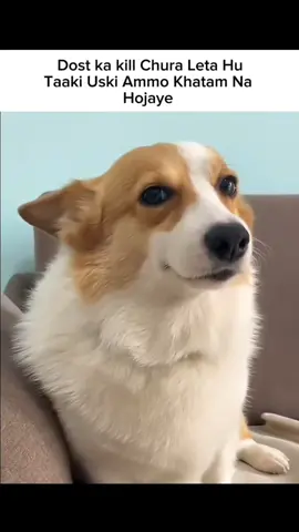 Pata nahi fir gaaliya Kyu Dete ha 🥲@OSAMA💫 #pubg #pubgmobil #pubgvideos #pubgviral #pubglover #fyp #fypシ゚ #fyppppppppppppppppppppppp 