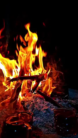 Egoist bir varlıktır insanoğlu. mesela; önemsiyorsun vazgeçemezsin sanıyorlar...!!!