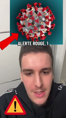 Le variant Frankenstein débarque en France ! #pourtoi #frankenstein #variant #france #attention 