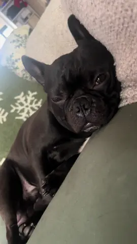 Is trying to figure out if it’s nap time 