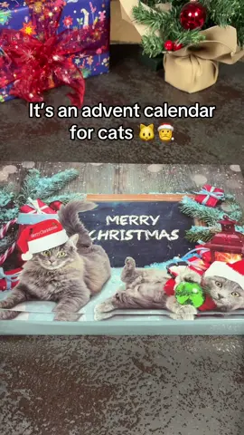 Don’t let cat owners see this…🤭 #adventcalendar #catlover #christmas #catparents 