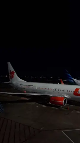 lagi mantau singa & garuda pada tidur