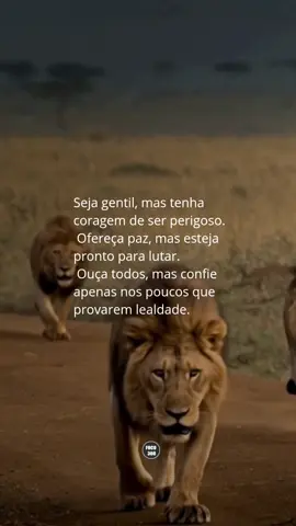 💭 Gentileza não é fraqueza. A verdadeira força é saber oferecer paz enquanto carrega coragem para a guerra. #Motivação #ForçaInterior #MentalidadeForte #Coragem #Estratégia         
