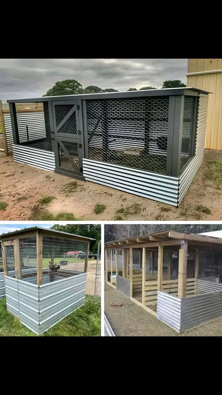 Simple Idea for Building a Functional Chicken Coop ✨🐓 1️⃣ Space planning Choose a dry, ventilated location away from excess moisture. Provide at least 1 m² per chicken to ensure freedom of movement and comfort. 2️⃣ Construction materials Use treated wood or galvanized metal for durability. Install galvanized steel mesh for walls and doors, and cover the roof with tiles or wood. Secure with screws and nails. 3️⃣ Structure and design Build a solid base, mesh walls, and a sloped roof to keep the interior dry. Add an outdoor fenced area for exercise and sunlight. 4️⃣ Door and closing system Install a door large enough for easy entry with feed or tools. Use a strong lock or latch to keep chickens safe from predators. 5️⃣ Comfort and safety tips Ensure proper ventilation with windows or mesh openings. Cover the floor with straw, sawdust, or sand. Add nesting boxes filled with straw for egg laying. 6️⃣ Common mistakes to avoid Lack of ventilation leads to heat stress. Insufficient space causes stress and low productivity. Weak protection invites predators. 7️⃣ Final result A simple, durable, and safe chicken coop that keeps chickens healthy, comfortable, and productive .