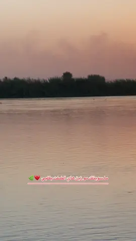 🤍🌹#ريف #واسط #العزيزية #الكمبوش #viral 