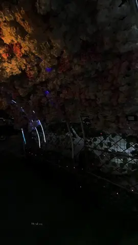 لاهو زيك ولا شبهك..؟🖤☘️. #مالي_خلق_احط_هاشتاقات  #yyyyyyyyyyyyyyyyyyyyyyyyyyyyyy  #لايكات_الاكسبلور_متابعه  #ypシ゚viral #تصوري📸 