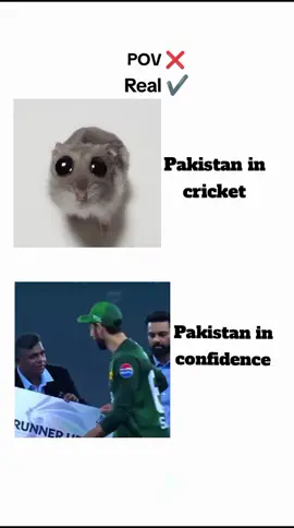 Real hai broh🥲😹.. . . #asiacup2025 #indvspak #trending 