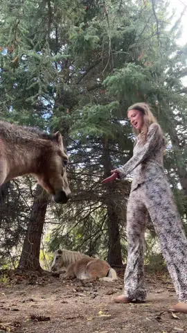 This is my true form 