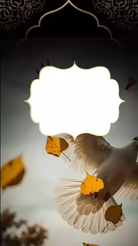 لا تستهن بأثرك الطيب... 🤍🤍#اللهم_جملنا_بحسن_الاخلاق #اللهم_حبك_ورضاك_والجنه#افعل_الخير #يارب #foryoupage 